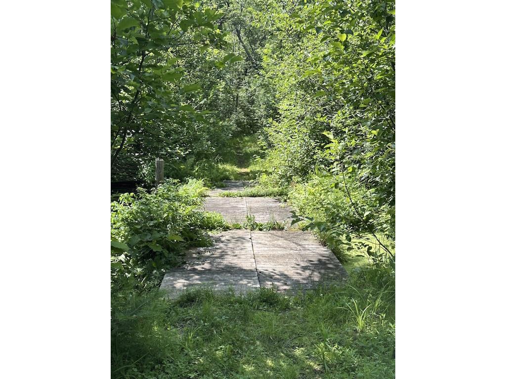 Lot 1 and Lot 2 Point Drive Hayward WI 54843 - Spring 1593285 image7