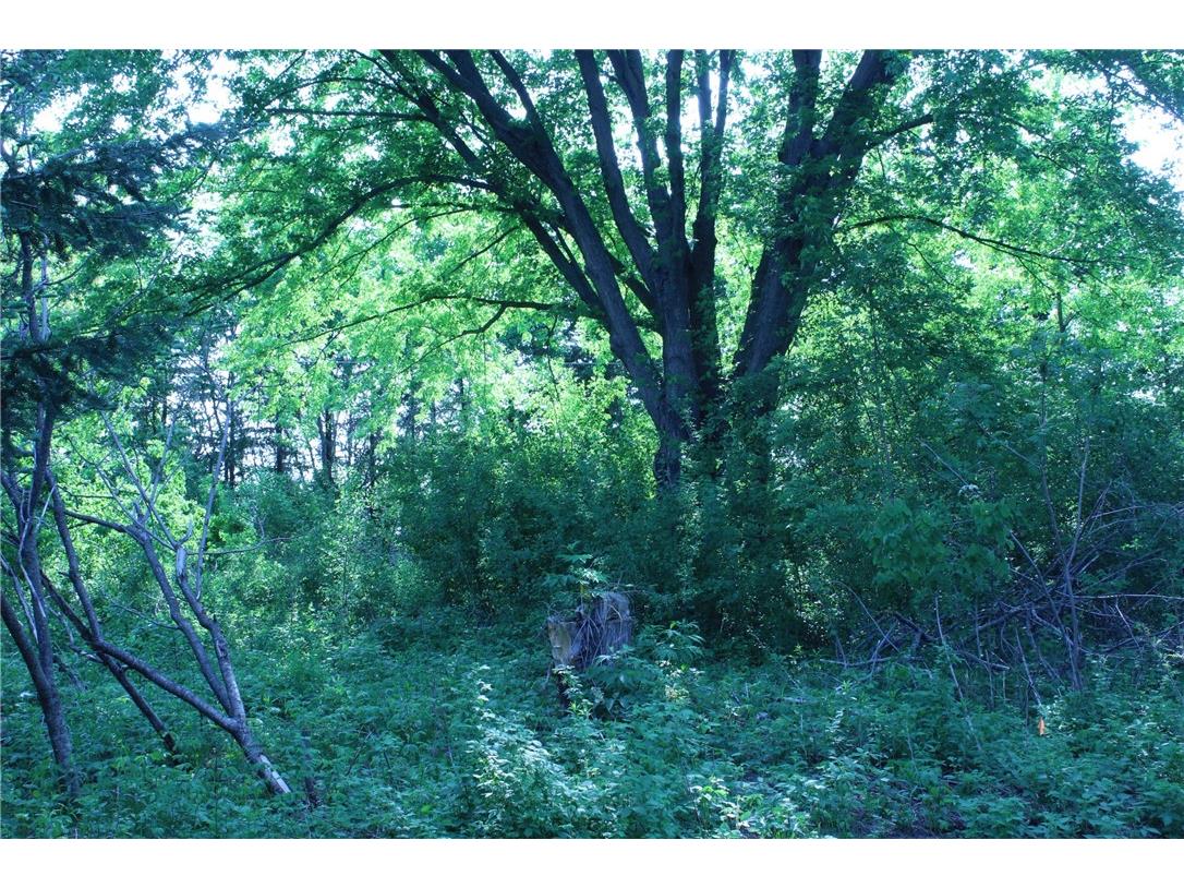 Lot 10 164th Street Chippewa Falls WI 54729 1571488 image1