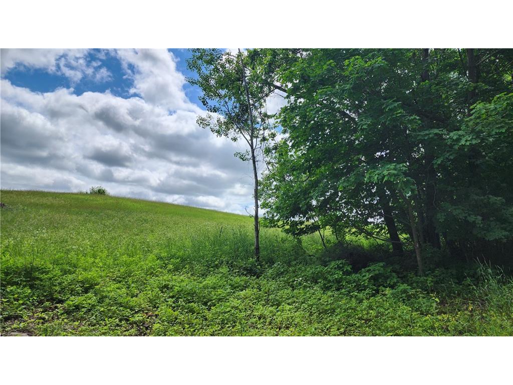 Lot 10 270th Street Boyceville WI 54725 1583099 image1