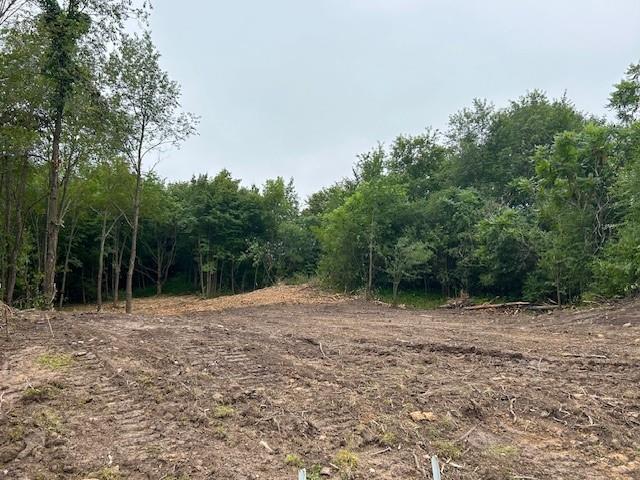 Lot 10 776th Avenue Spring Valley WI 54767 1578974 image1