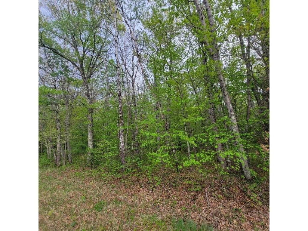 Lot 10 County Road A Spooner WI 54801 1587660 image5