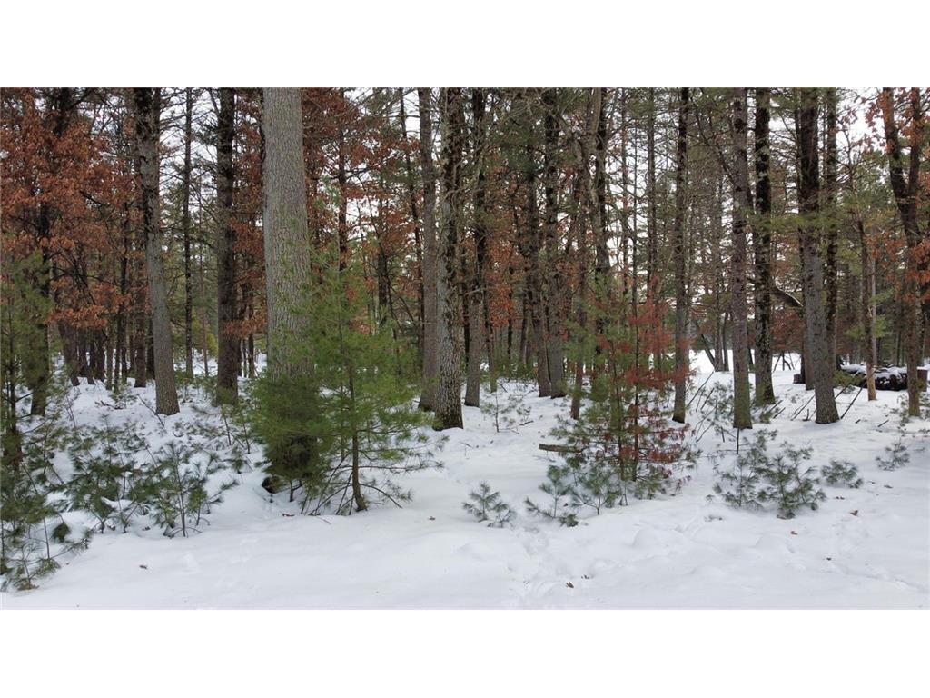 Lot 10 Doe Lane, Hatfield, WI 54754 MLS 1561201 Edina Realty