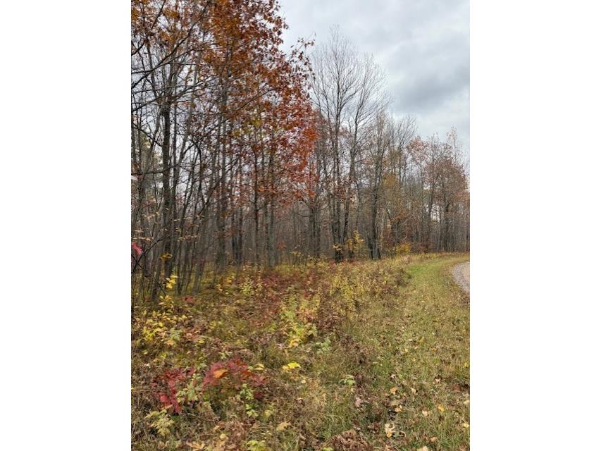 Lot 10 N Silver Birch Drive Cable WI 54821 1596556 image2
