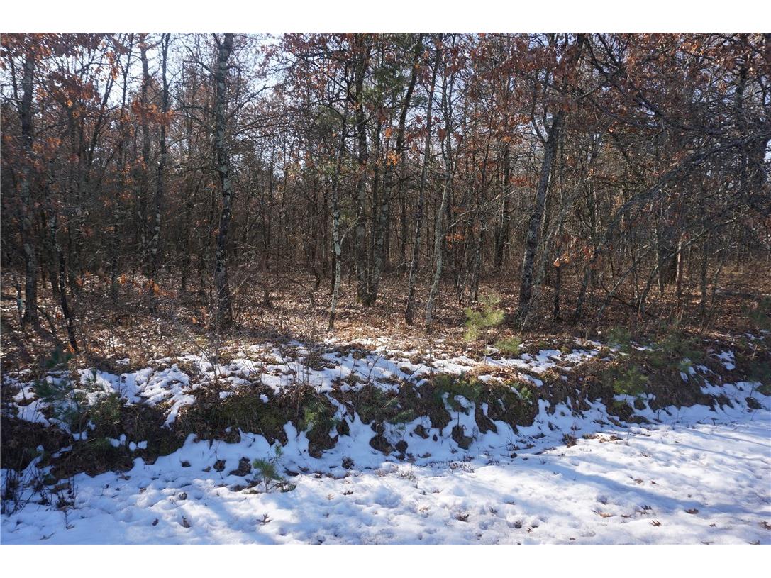 Lot 10 Scotters Trail Merrillan WI 54754 1579396 image1