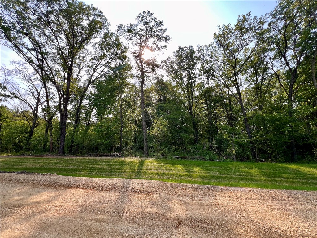 Lot 10 Stonebrook Drive Eleva WI 54738 - LOWES CREEK 1592241 image1