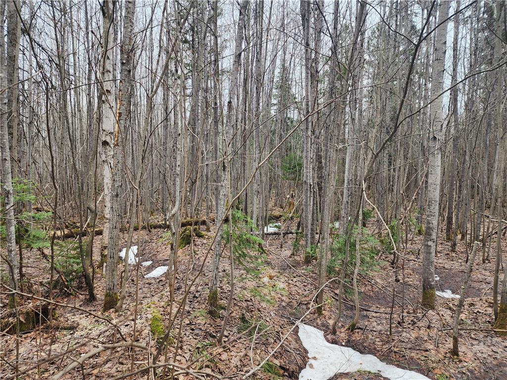 Lot 100 Brook Lane Hayward WI 54843 1573475 image1