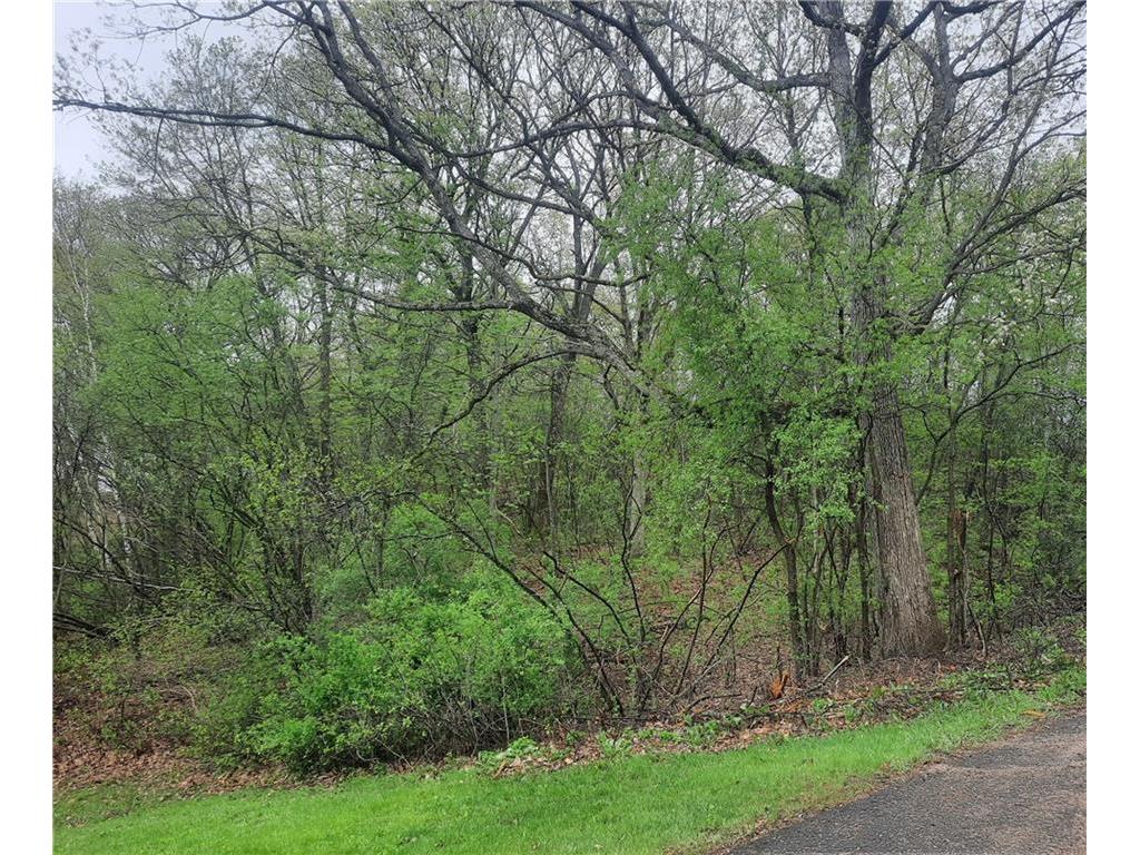 Lot 103 Rye Bluff Road Black River Falls WI 54615 1572328 image3