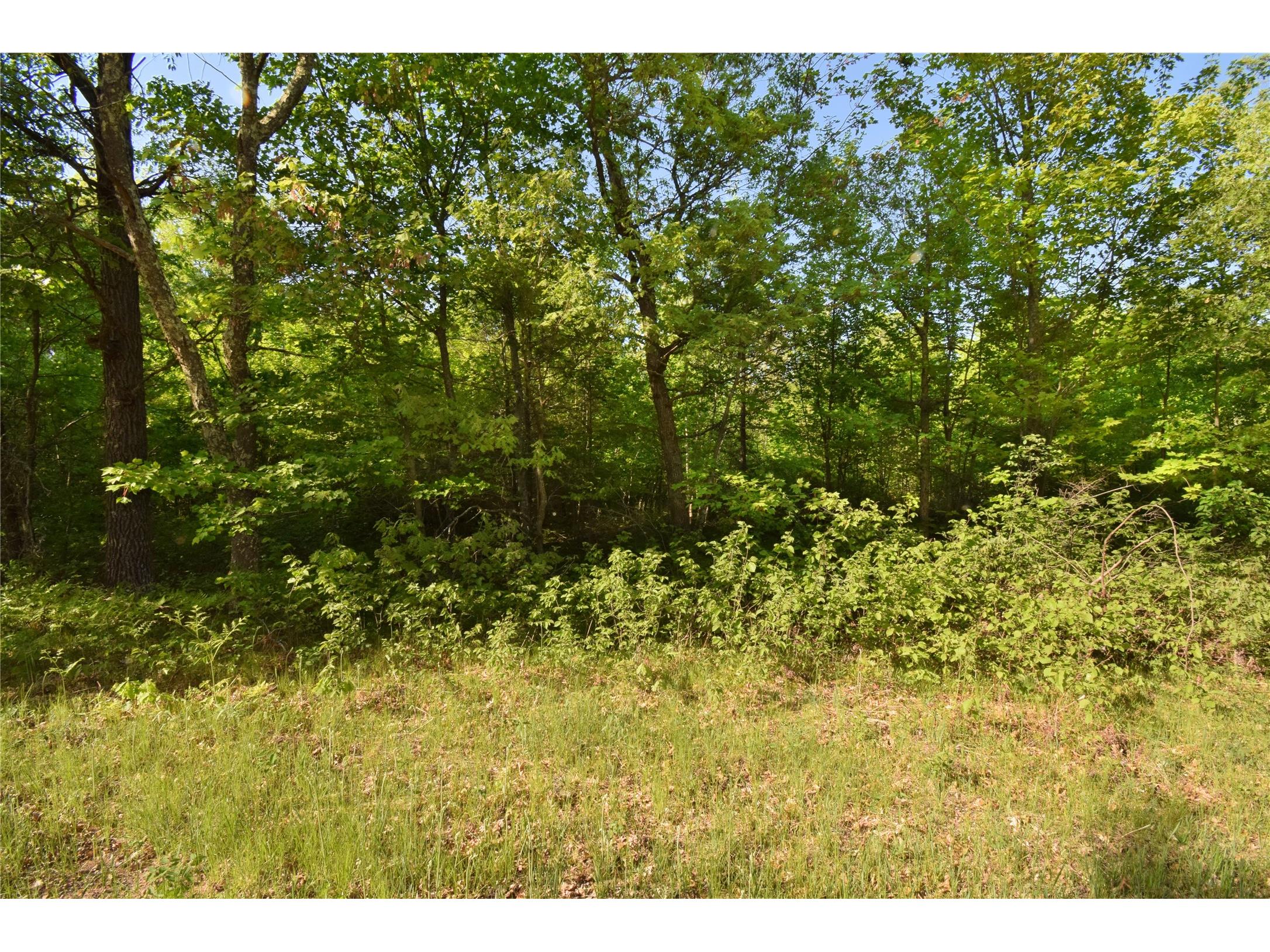 Lot 106 Setting Sun Court Danbury WI 54830 1601808 image13