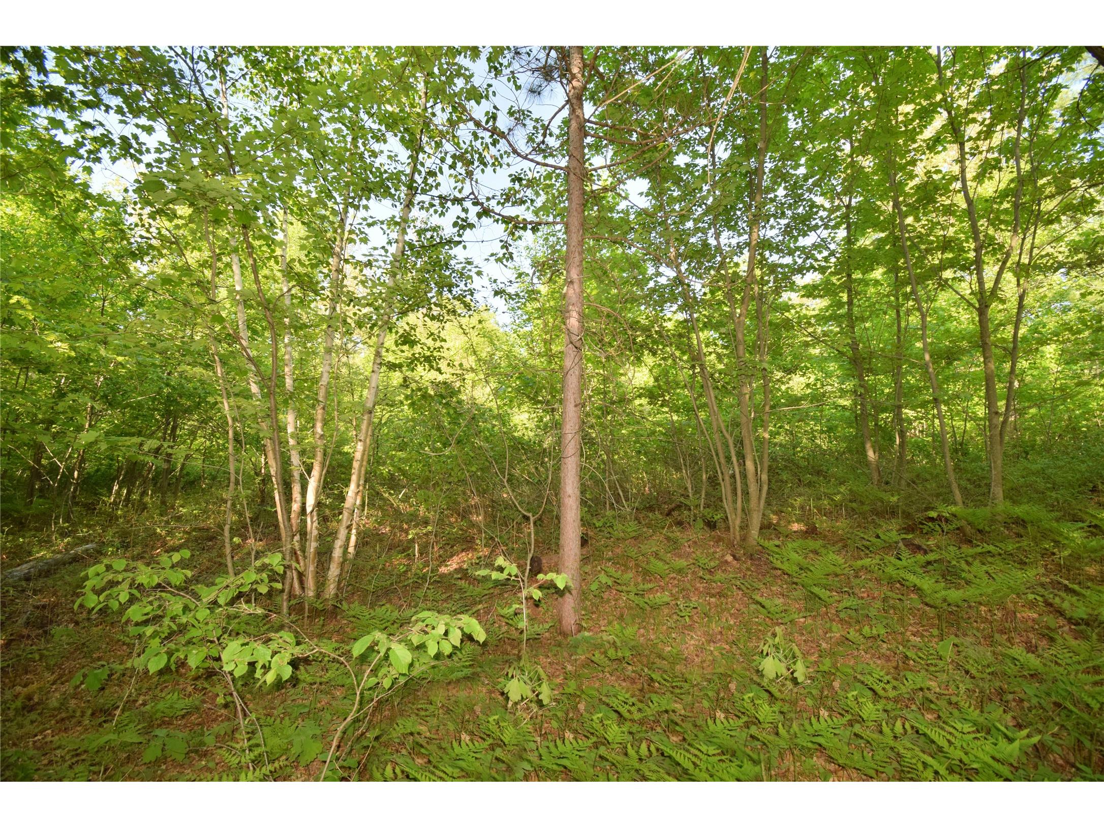 Lot 106 Setting Sun Court Danbury WI 54830 1601808 image15