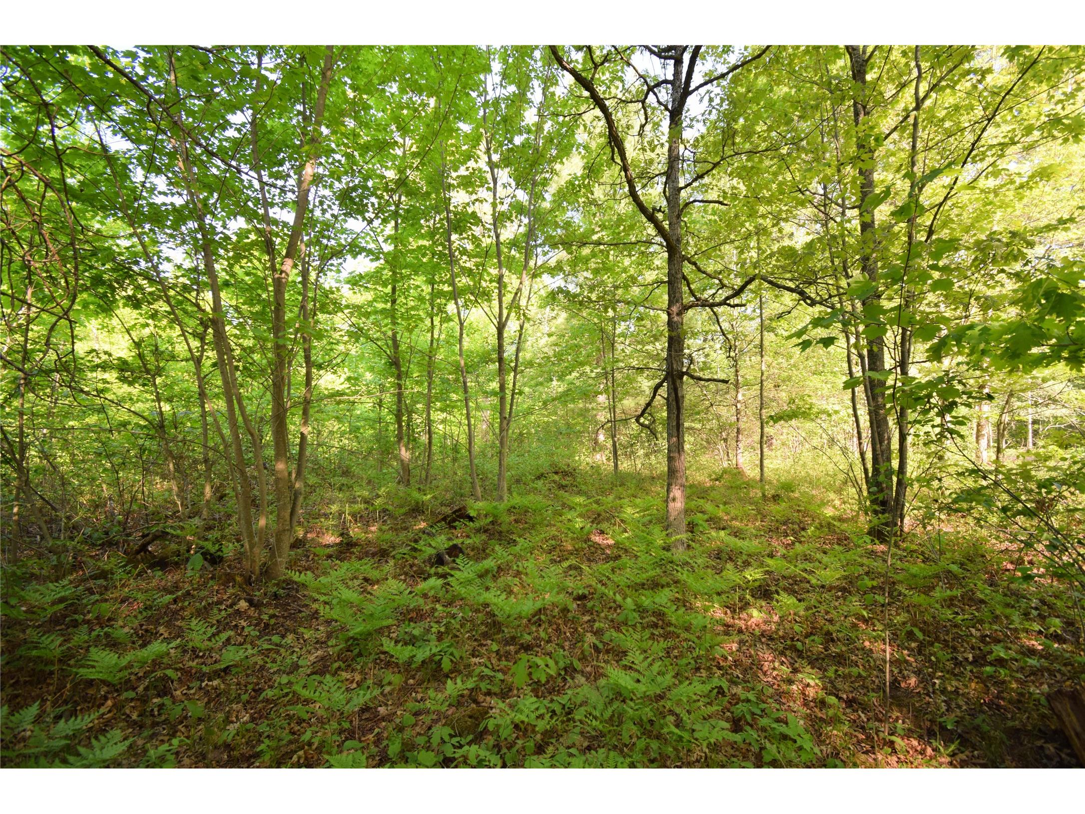 Lot 106 Setting Sun Court Danbury WI 54830 1601808 image16