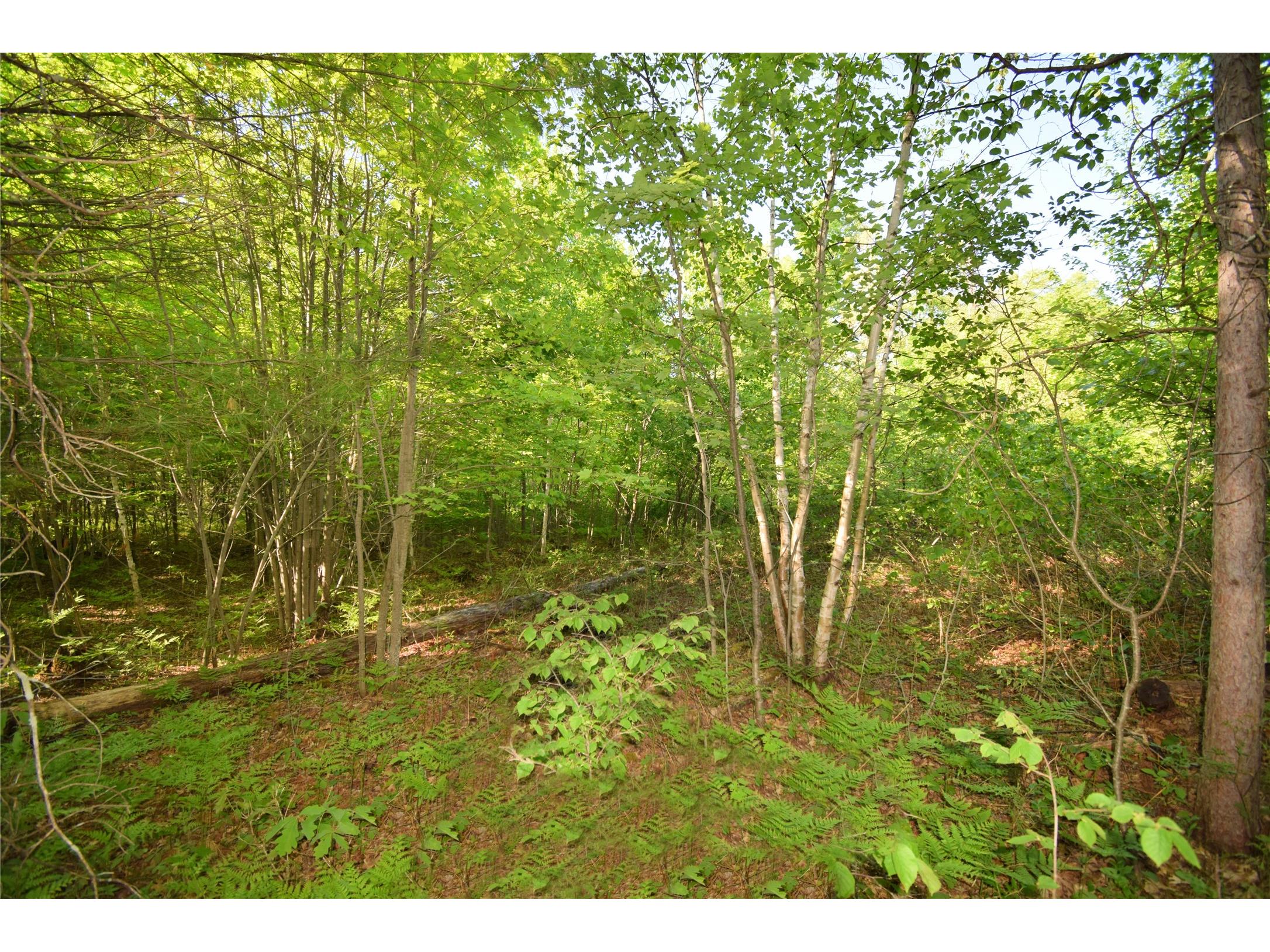 Lot 106 Setting Sun Court Danbury WI 54830 1601808 image17