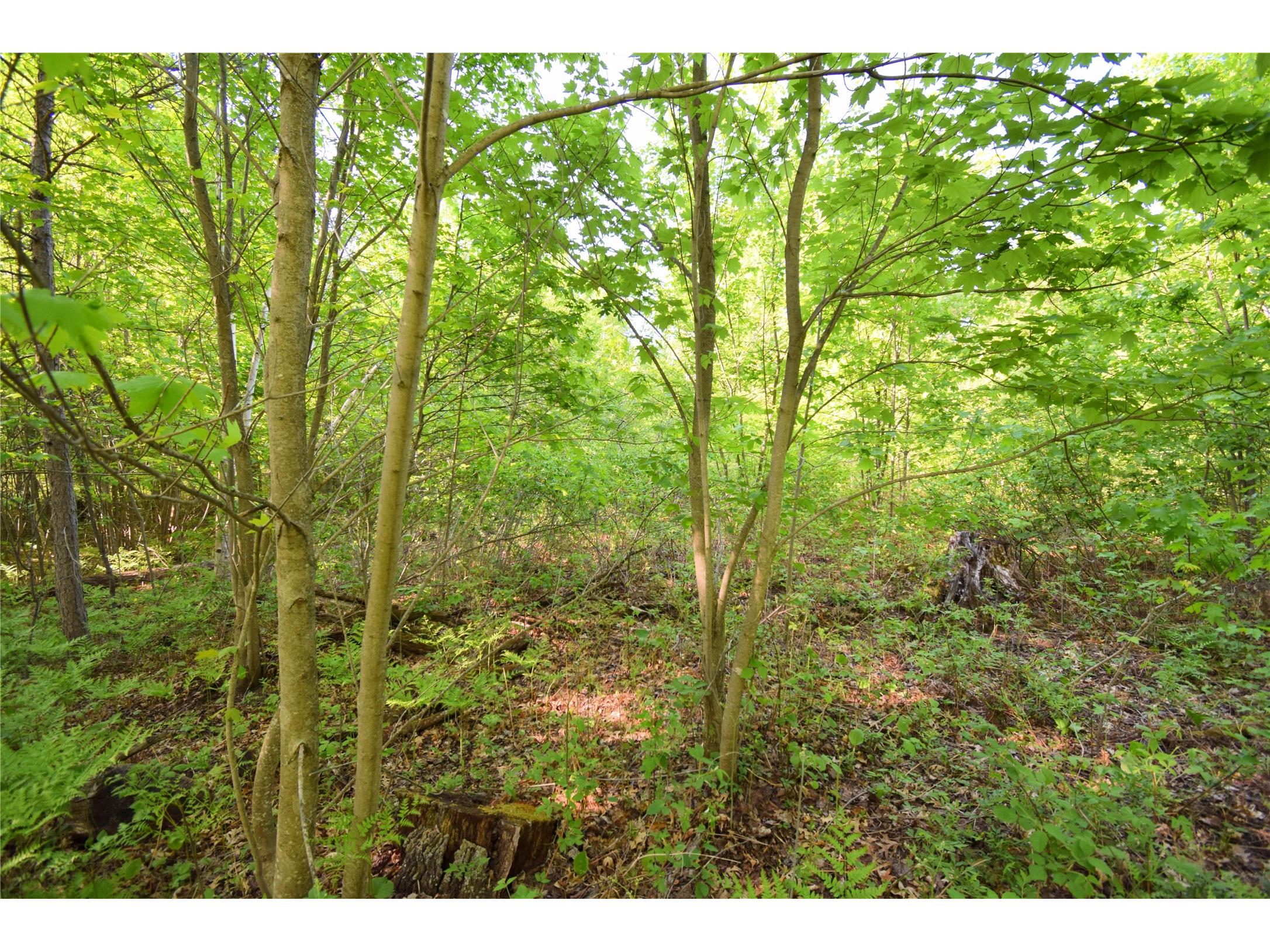 Lot 106 Setting Sun Court Danbury WI 54830 1601808 image18