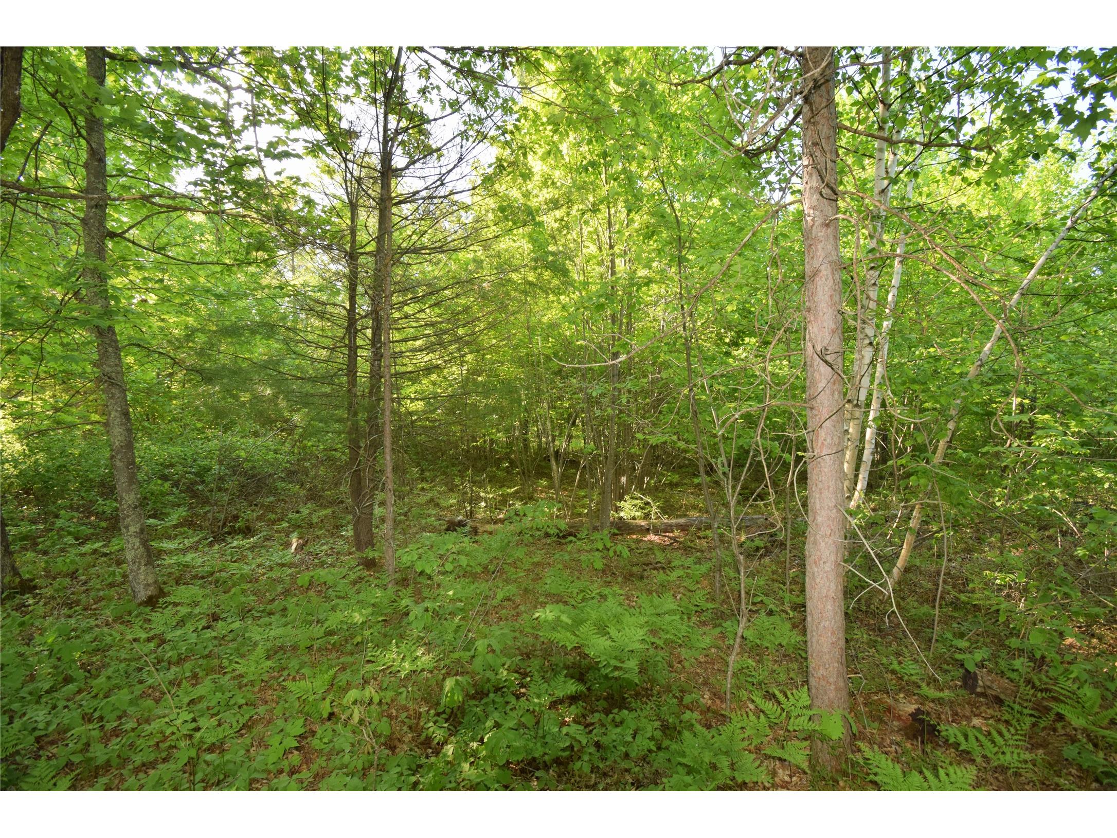 Lot 106 Setting Sun Court Danbury WI 54830 1601808 image19