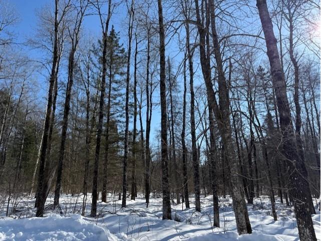 Lot 108 Willow Court Cable WI 54821 1598395 image3