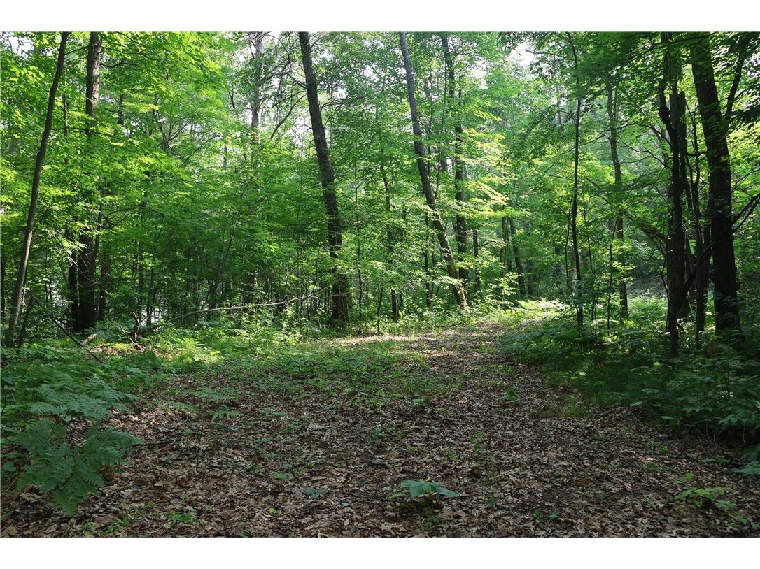 Lot 11 103rd Street Frederic WI 54837 - Knapp Flowage 1593950 image1