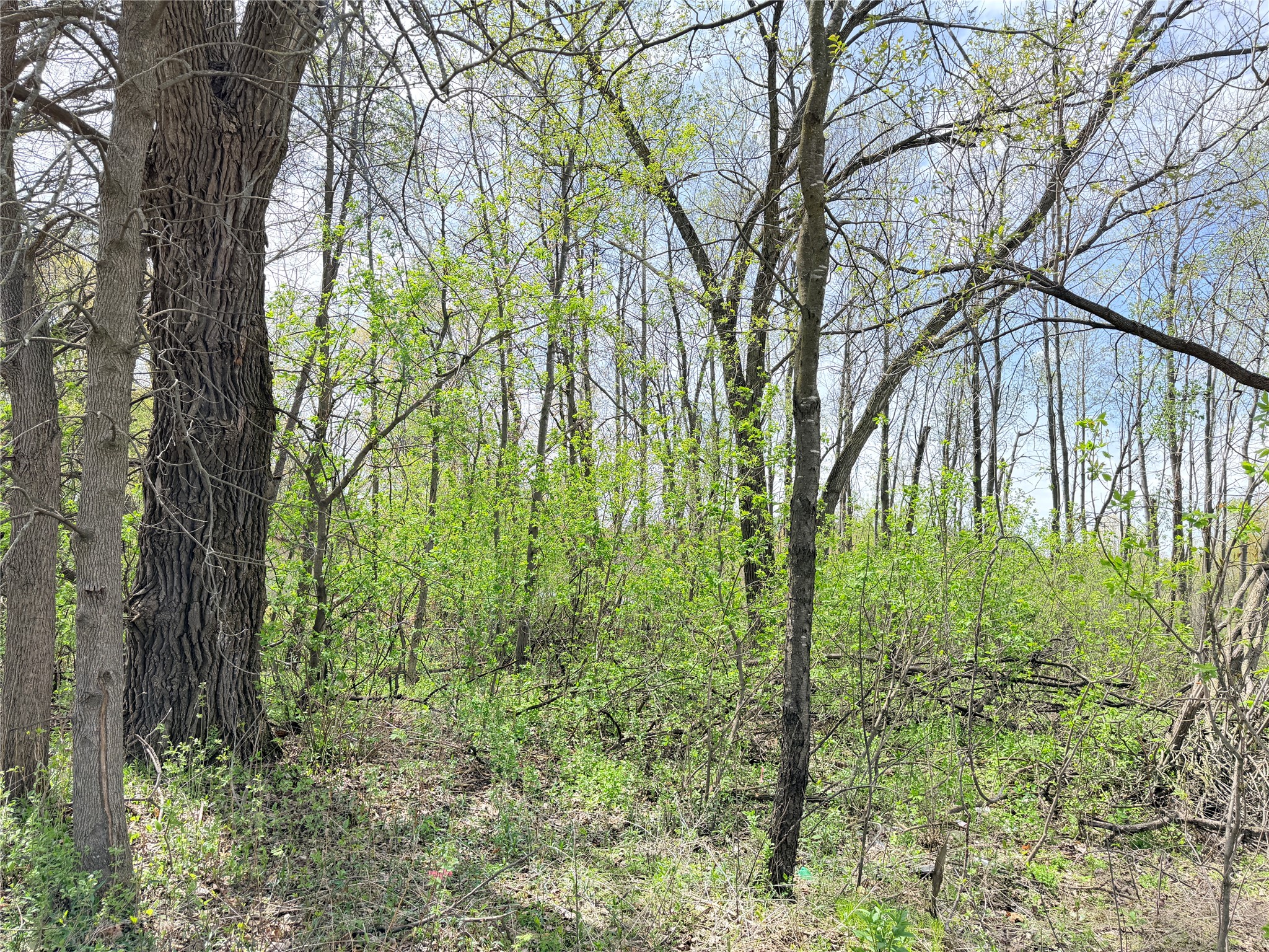 Lot 11 27th Court Chippewa Falls WI 54729 - Little Hallie 1593541 image10