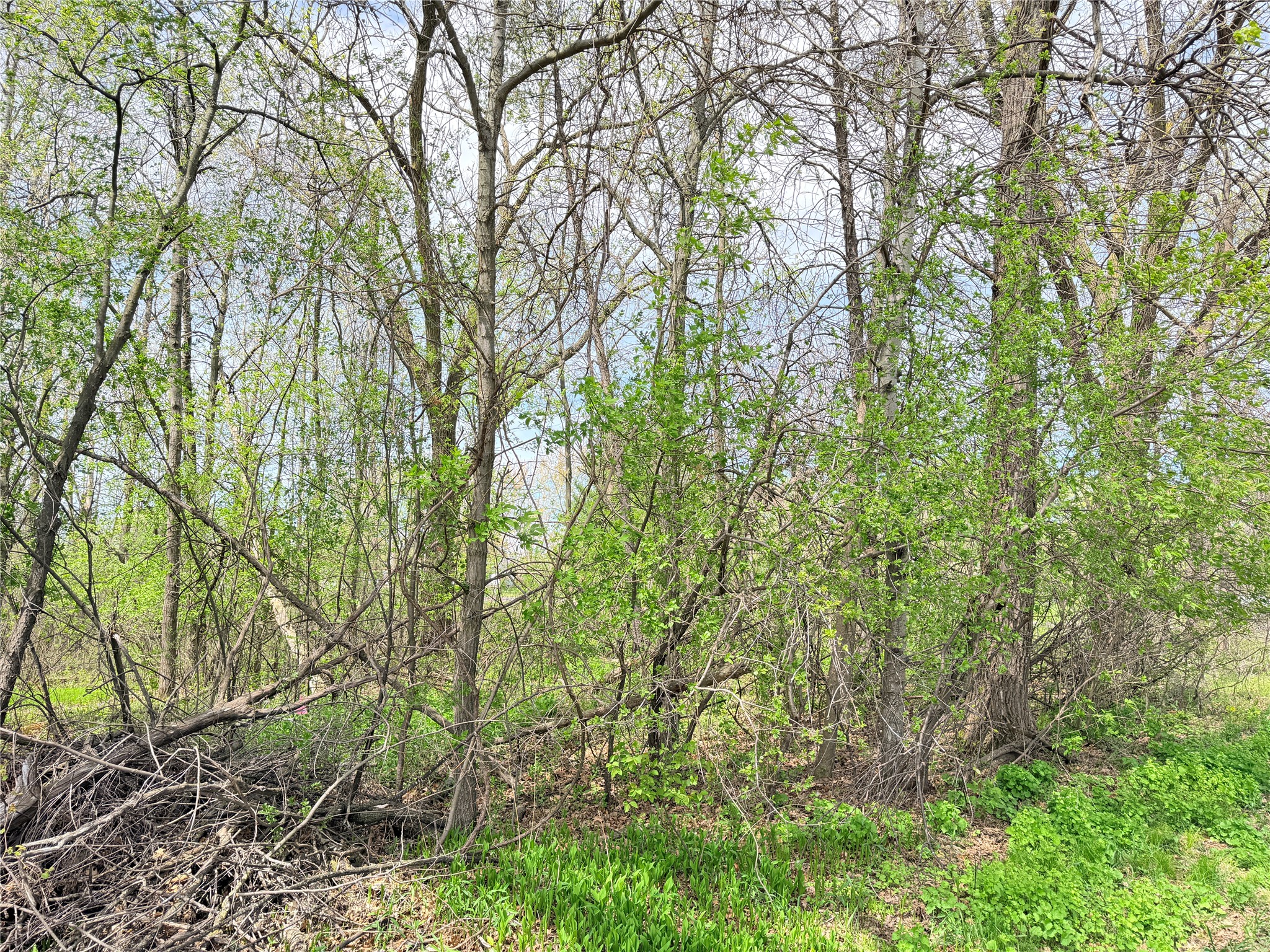 Lot 11 27th Court Chippewa Falls WI 54729 - Little Hallie 1593541 image14