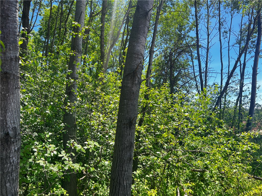 Lot 11 27th Court Chippewa Falls WI 54729 - Little Hallie 1593541 image18