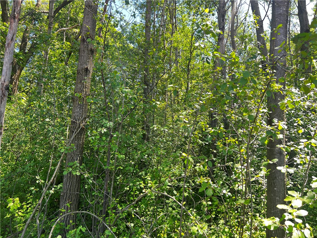 Lot 11 27th Court Chippewa Falls WI 54729 - Little Hallie 1593541 image7