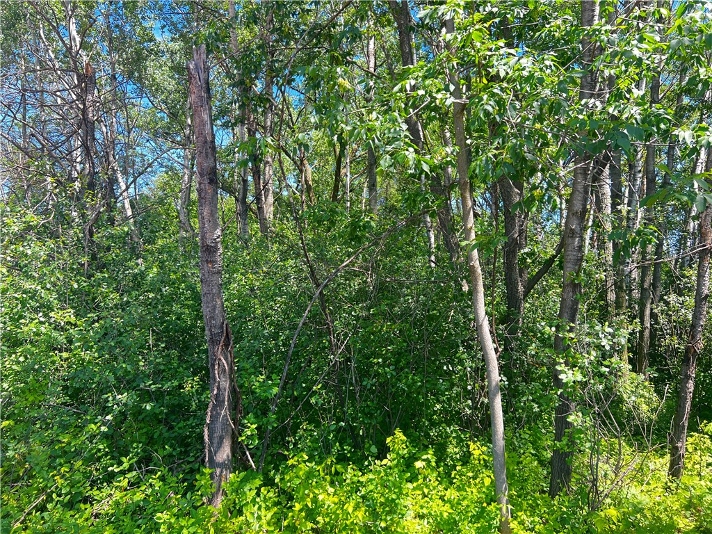 Lot 11 27th Court Chippewa Falls WI 54729 - Little Hallie 1593541 image8