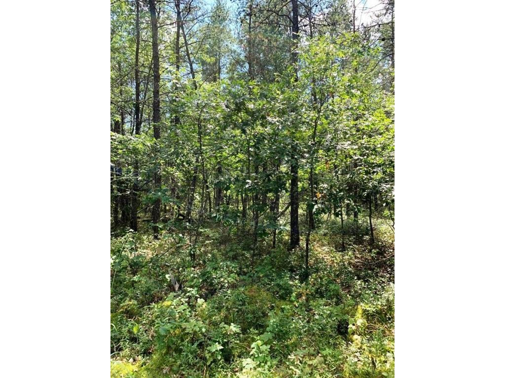Lot 11 Cash Way Danbury WI 54830 1580389 image1