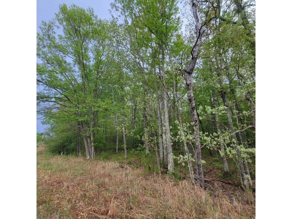 Lot 11 County Road A Spooner WI 54801 1587662 image1