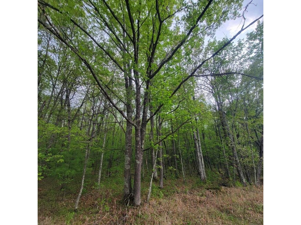 Lot 11 County Road A Spooner WI 54801 1587662 image2