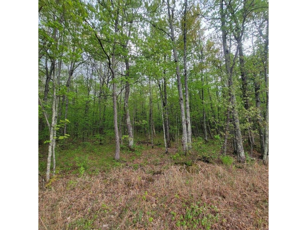 Lot 11 County Road A Spooner WI 54801 1587662 image3
