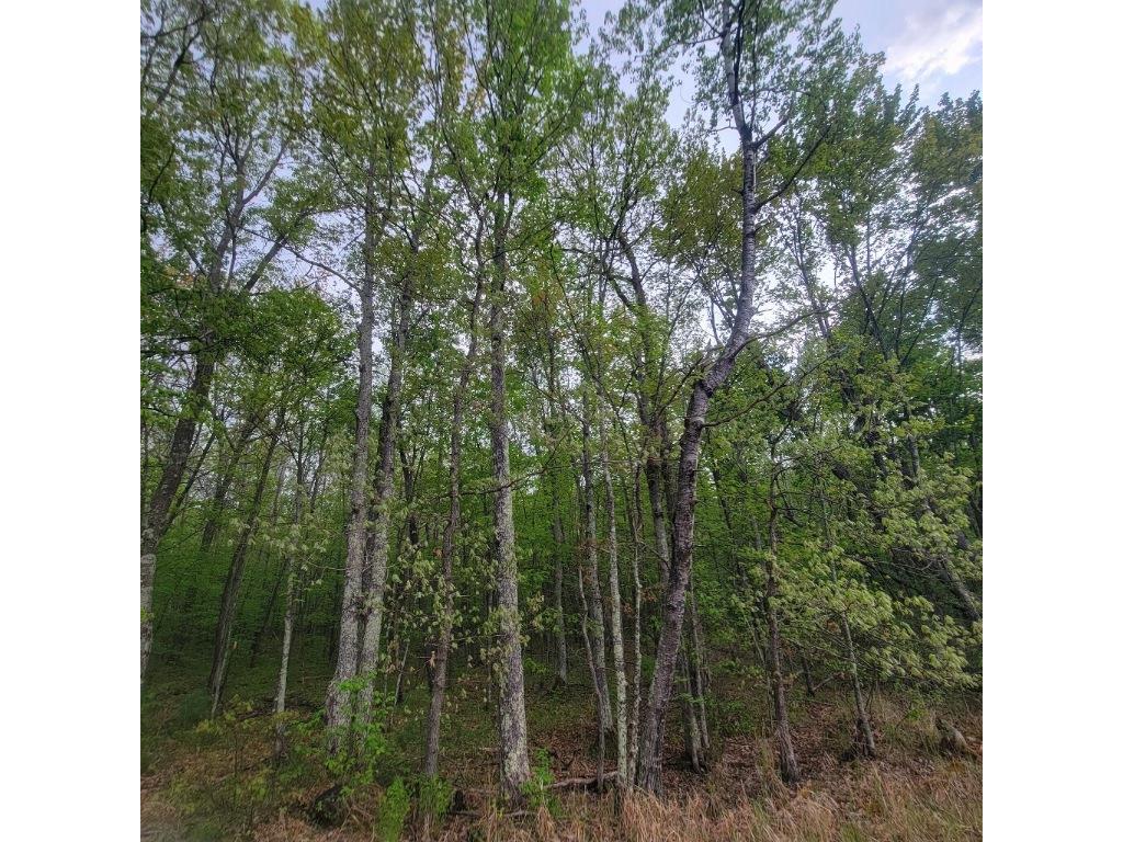 Lot 11 County Road A Spooner WI 54801 1587662 image6