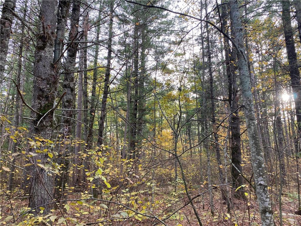 Lot 11 Indian Trail Road Hayward WI 54843 1577783 image1