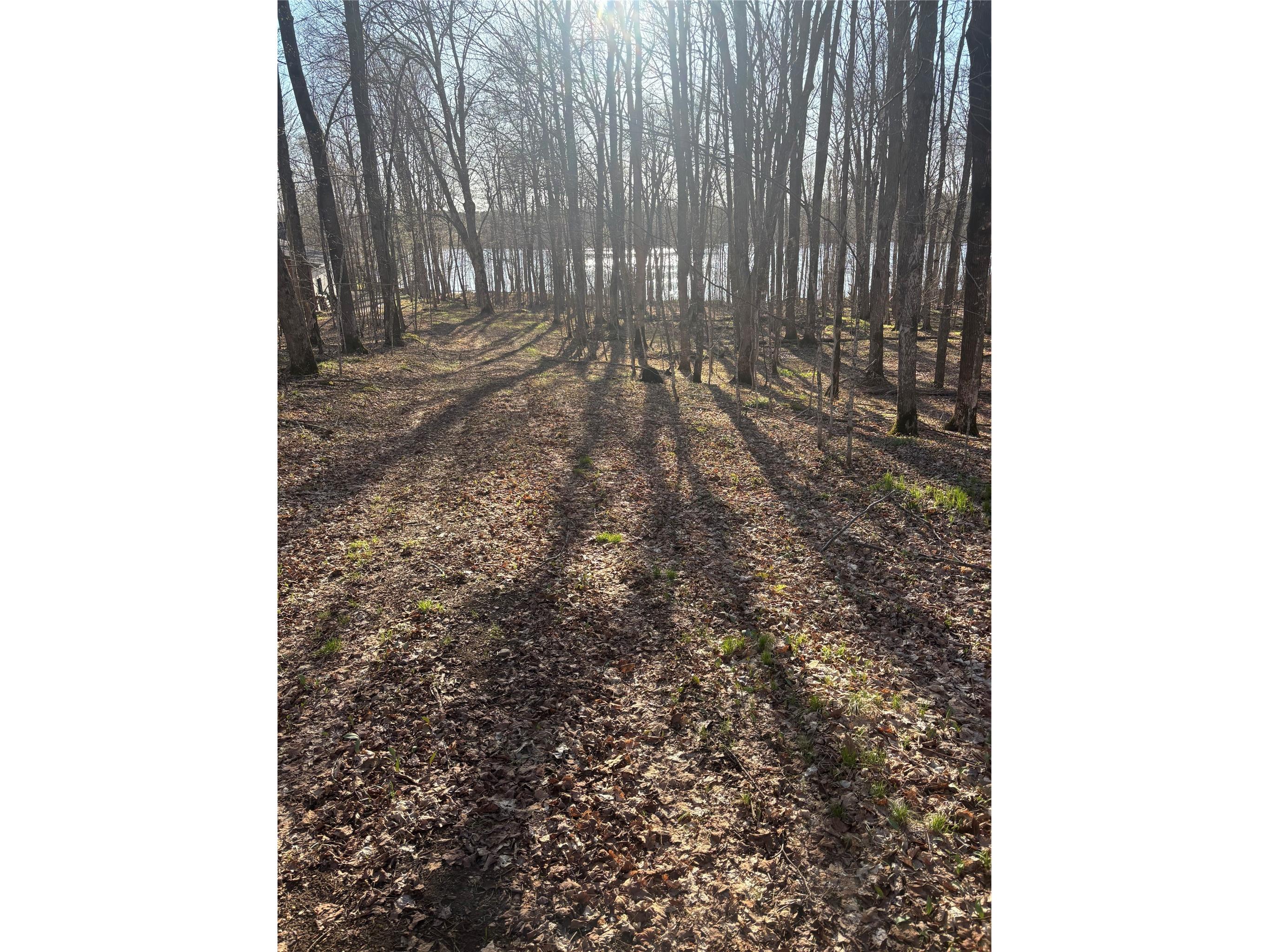Lot 11 Lake Winter Road Winter WI 54896 - Winter 1600481 image2