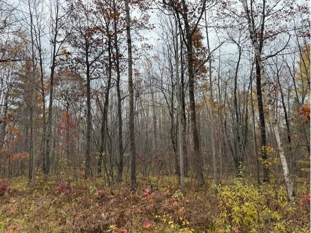 Lot 11 N Silver Birch Drive Cable WI 54821 1596561 image1