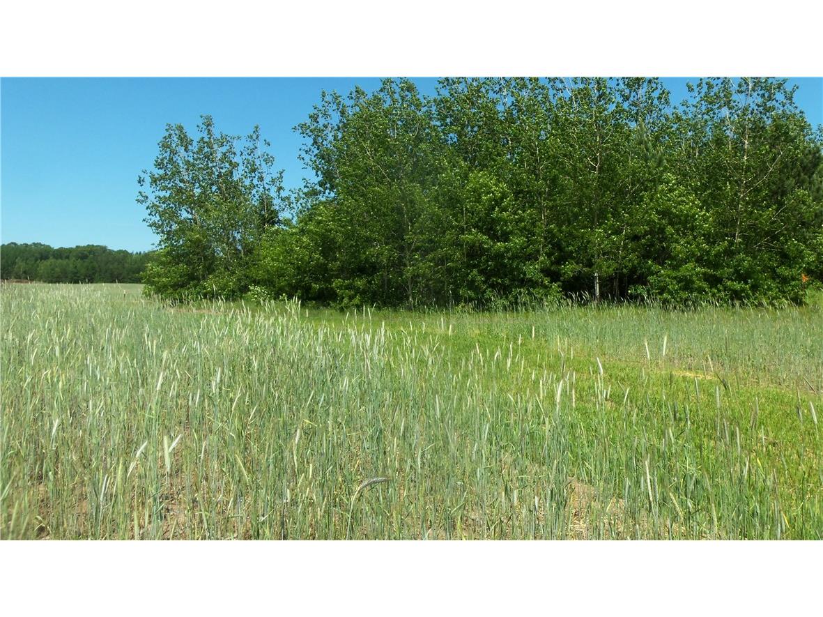 Lot 11 Red Maple Lane Siren WI 54872 1584571 image4