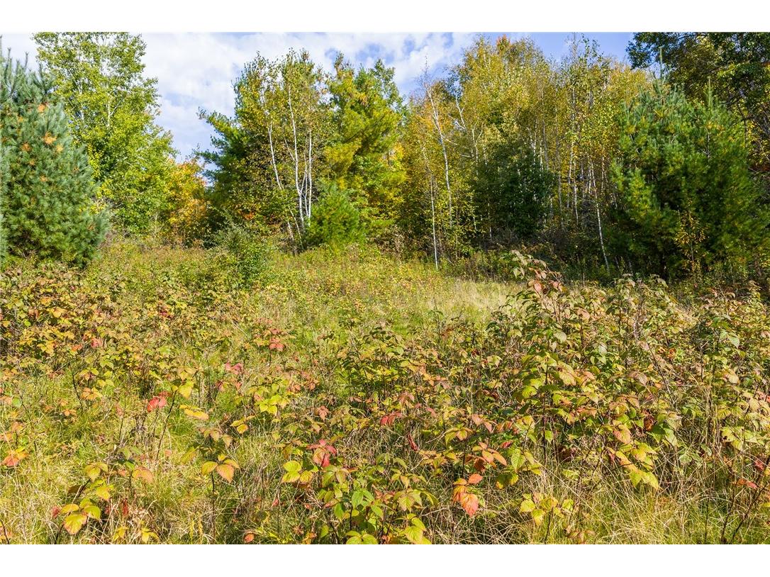 Lot 11 and 12 10 1/4 Ave Chetek WI 54728 1595982 image15