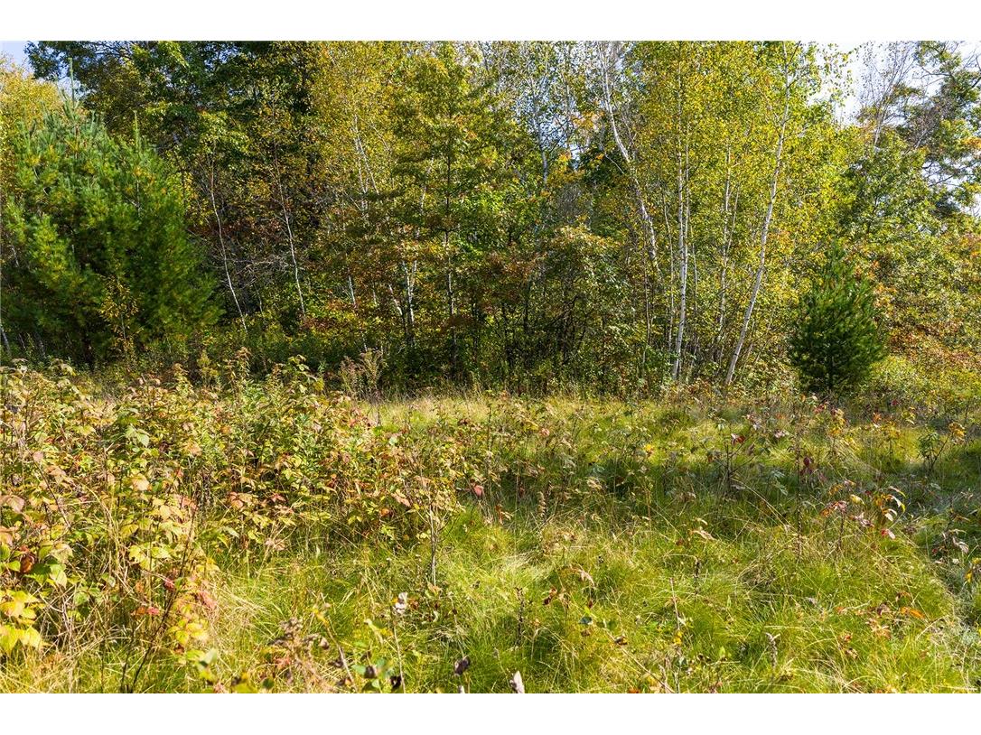 Lot 11 and 12 10 1/4 Ave Chetek WI 54728 1595982 image16