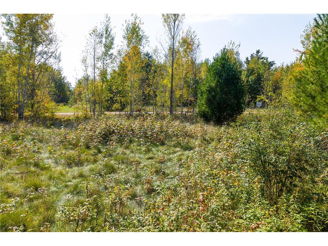 Lot 11 and 12 10 1/4 Ave Chetek WI 54728 1595982 image18
