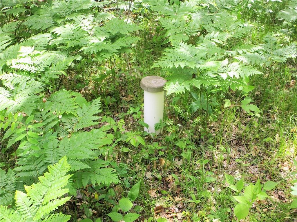 Lot 111 & 112 Bridle Road Webster WI 54893 1593397 image2