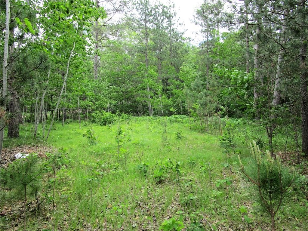 Lot 111 & 112 Bridle Road Webster WI 54893 1593397 image3