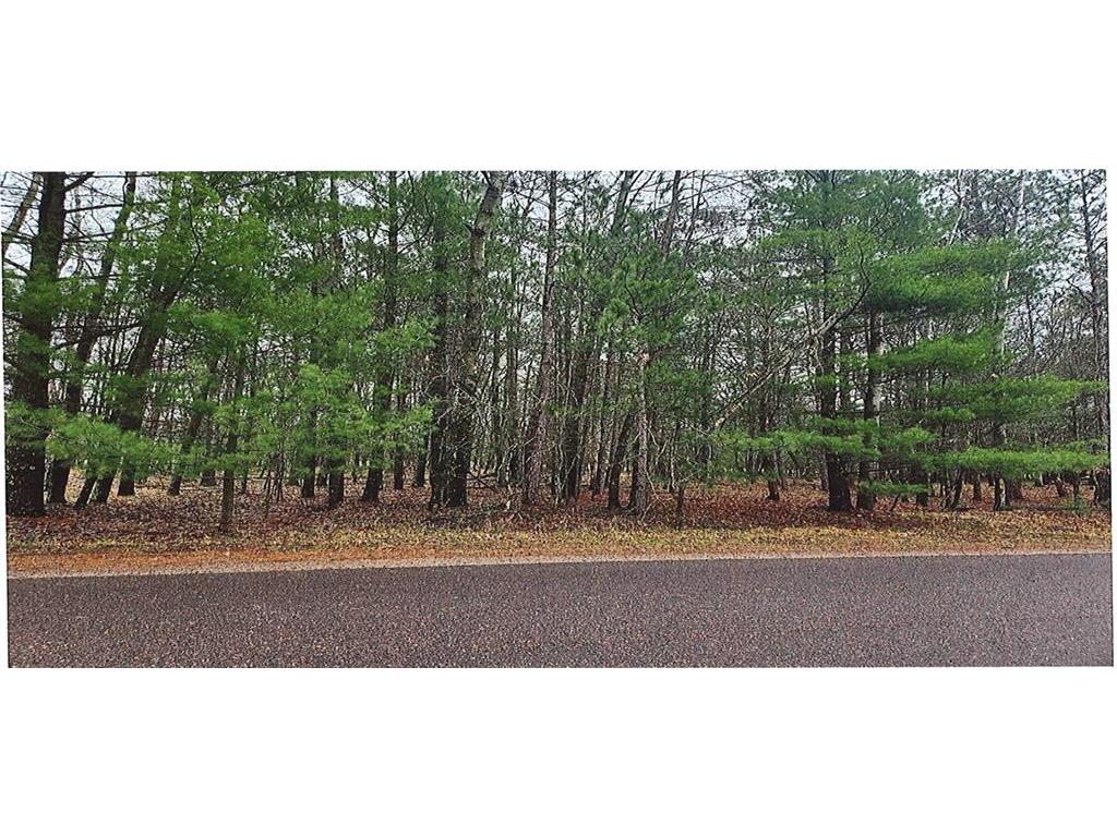 Lot 12 Hanscom Lake Trailway Tunnel Danbury WI 54830 1581605 image1