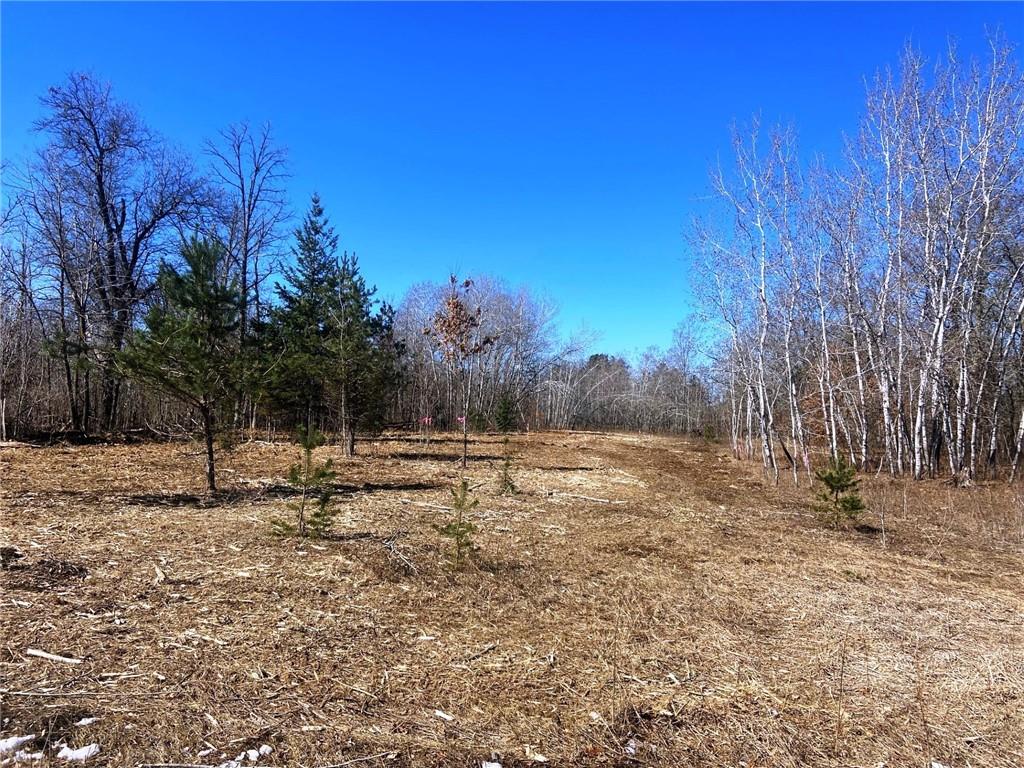Lot 12 N Sixth Avenue Danbury WI 54830 1580140 image1