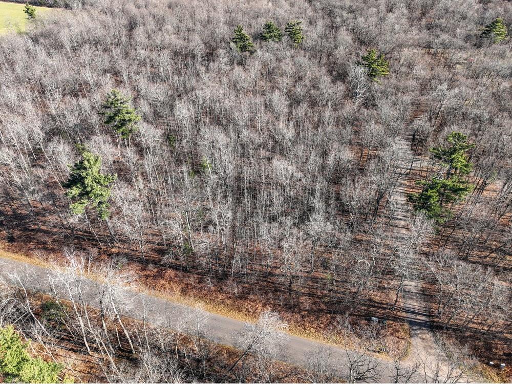 Lot 12 Peninsula Road Hayward WI 54843 1587446 image5