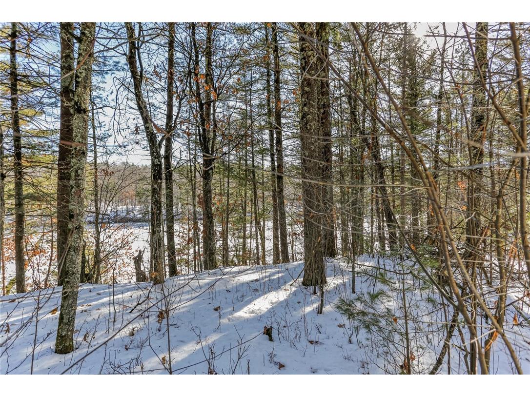 Lot 12 Water's Edge Black River Falls WI 54615 - Black Lake 1539194 image1