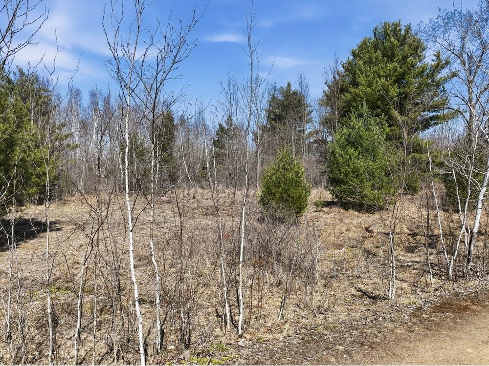 Lot 13 10 1/4 Avenue Chetek WI 54728 1599978 image19