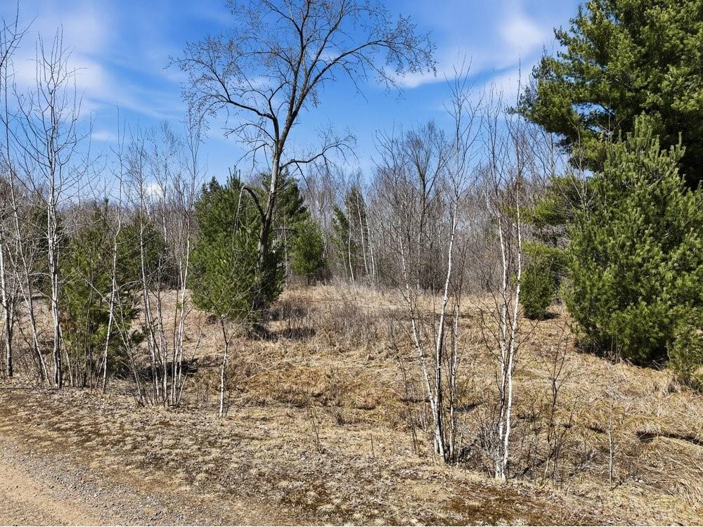 Lot 13 10 1/4 Avenue Chetek WI 54728 1599978 image2