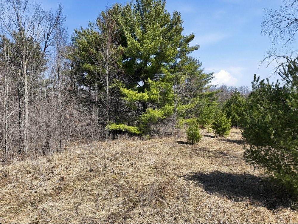 Lot 13 10 1/4 Avenue Chetek WI 54728 1599978 image20