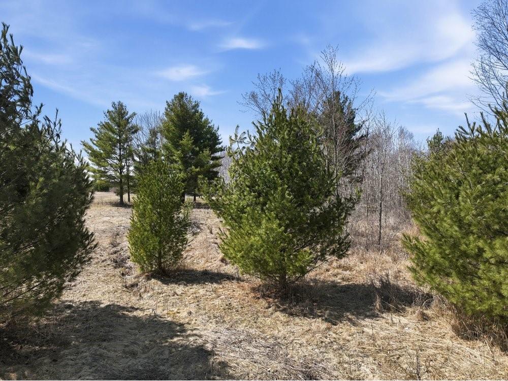Lot 13 10 1/4 Avenue Chetek WI 54728 1599978 image21