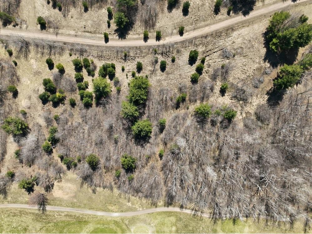 Lot 13 10 1/4 Avenue Chetek WI 54728 1599978 image22