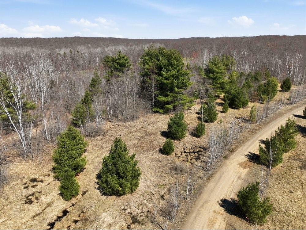 Lot 13 10 1/4 Avenue Chetek WI 54728 1599978 image6