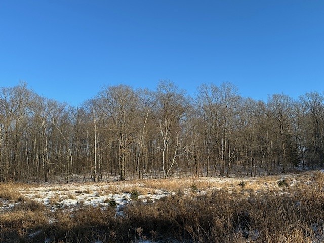 Lot 13 Birken Trail Road Hayward WI 54843 1587882 image1