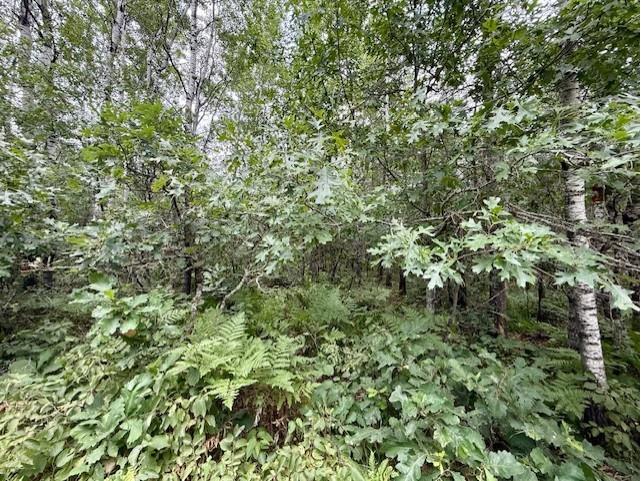 Lot 13 E Idlewild Lake Road Barnes WI 54873 1594399 image1